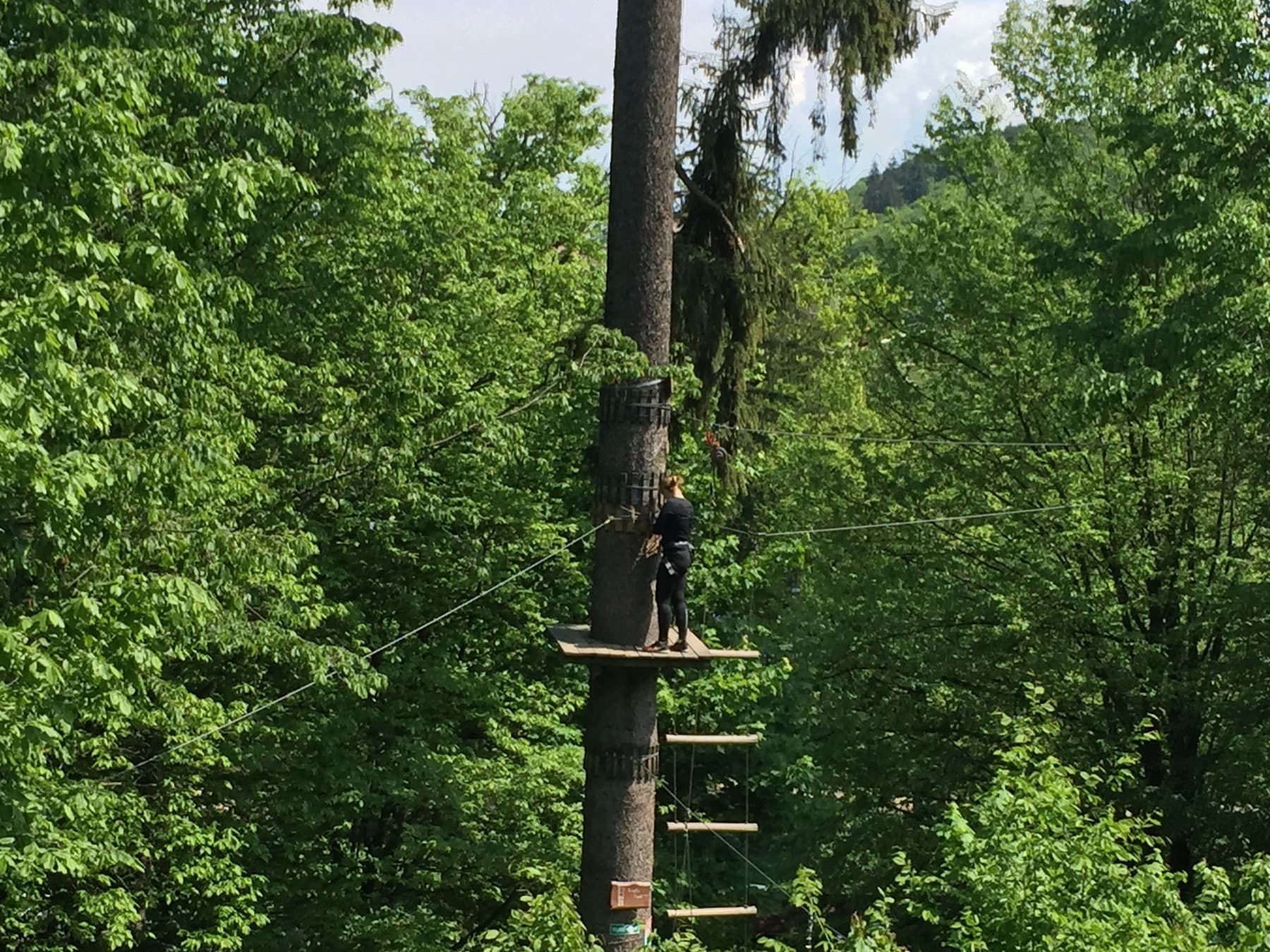 Klara getting ready to transition from one obstacle to another