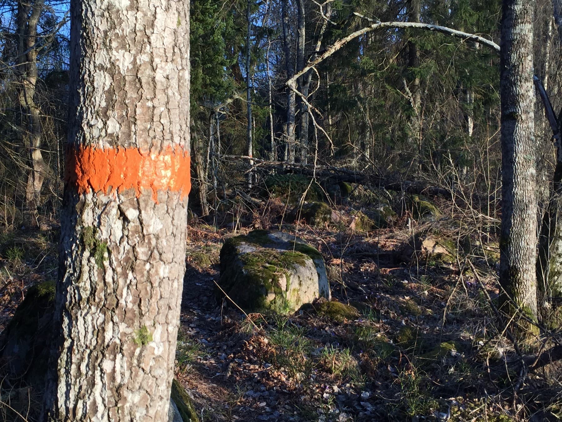 Easy to spot orange trail markings throughout the whole trail