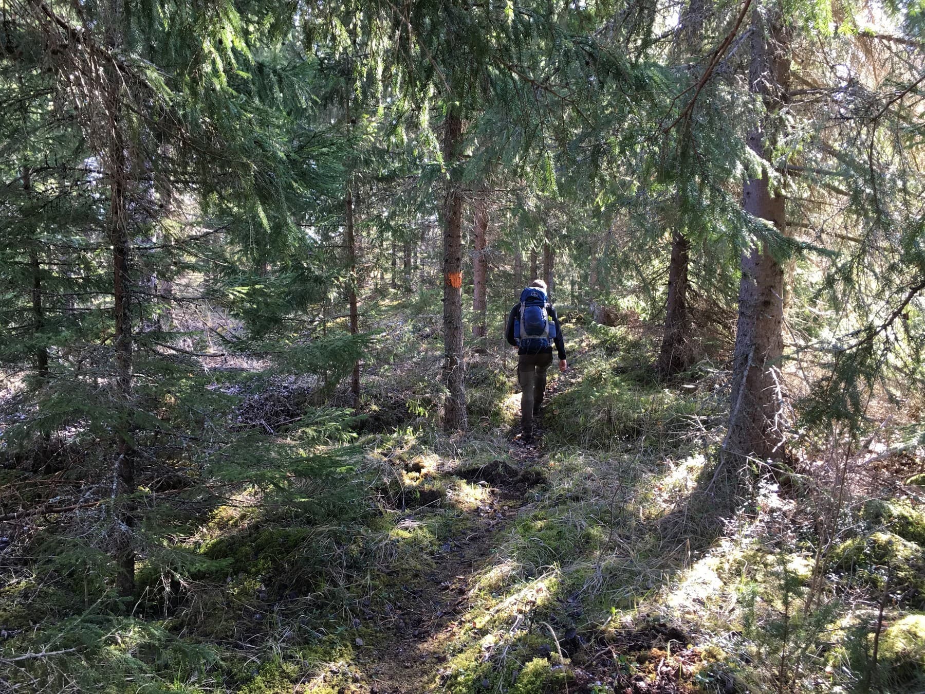 A day on the trail