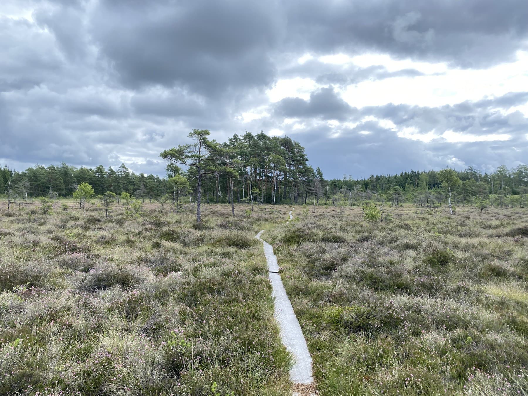 Typical trail on Hallandsleden