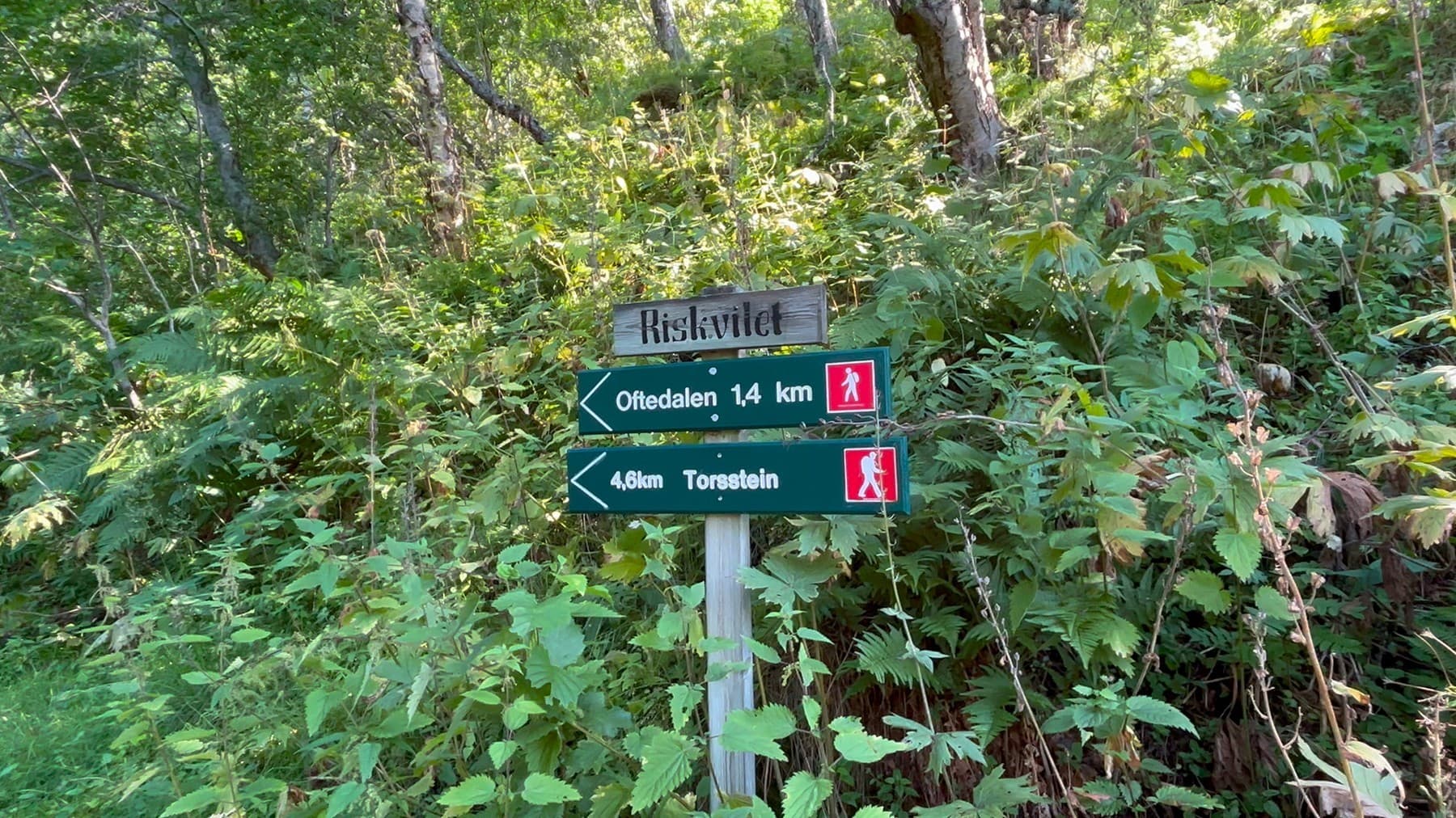 Well-signed trail all the way